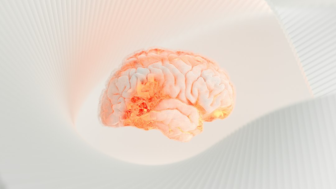 How Inflammation Affects Memory and Brain Function (Science-Based Guide)
